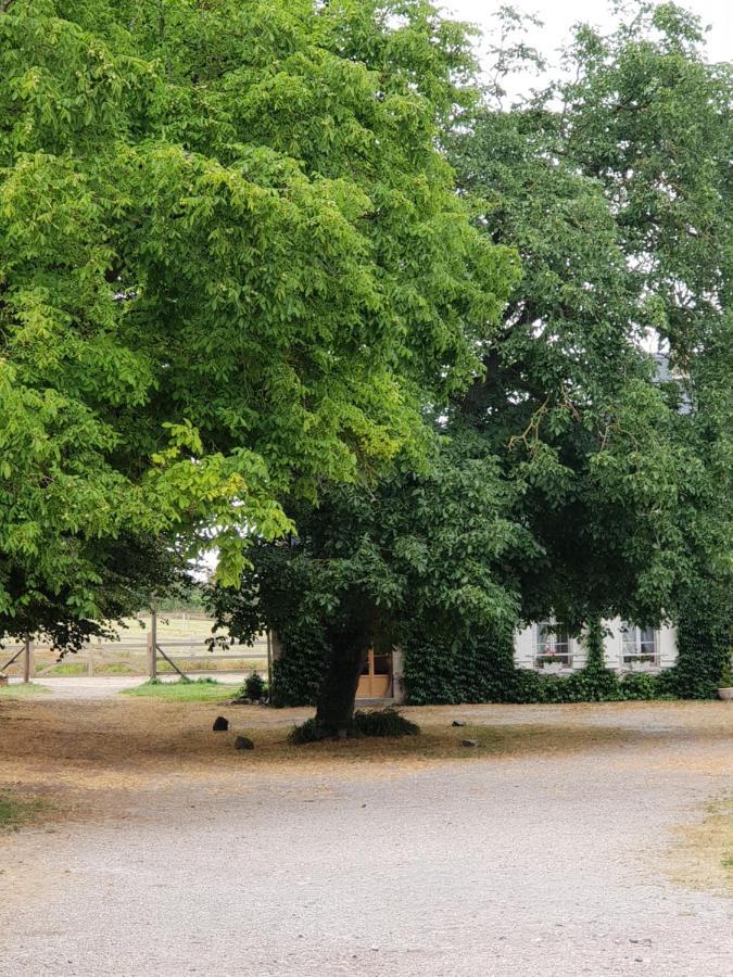 مبيت وإفطار Saint-Riquier La Tilia المظهر الخارجي الصورة